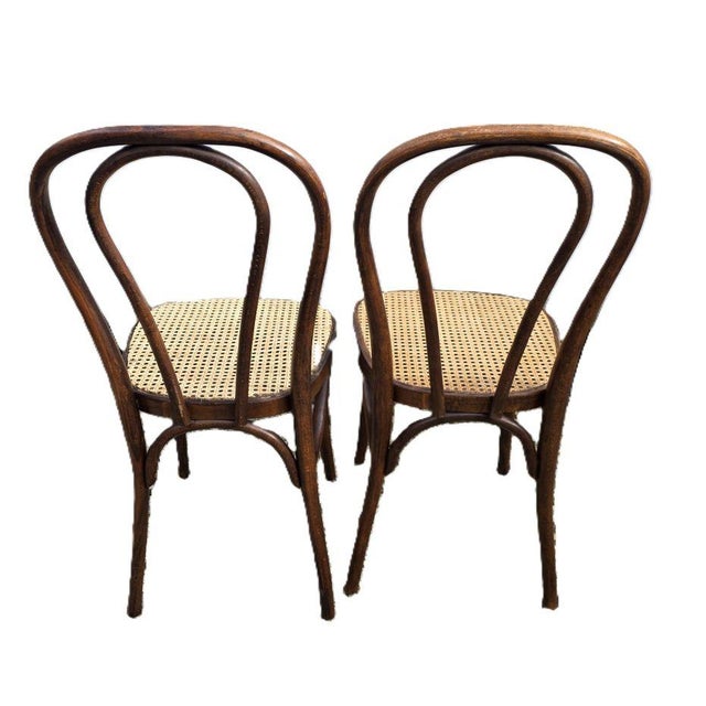 1950s Bentwood Bistro Chairs with Cane Seats attributed to Michael Thonet for Thonet, 1950s, Set of 4 For Sale - Image 5 of 9