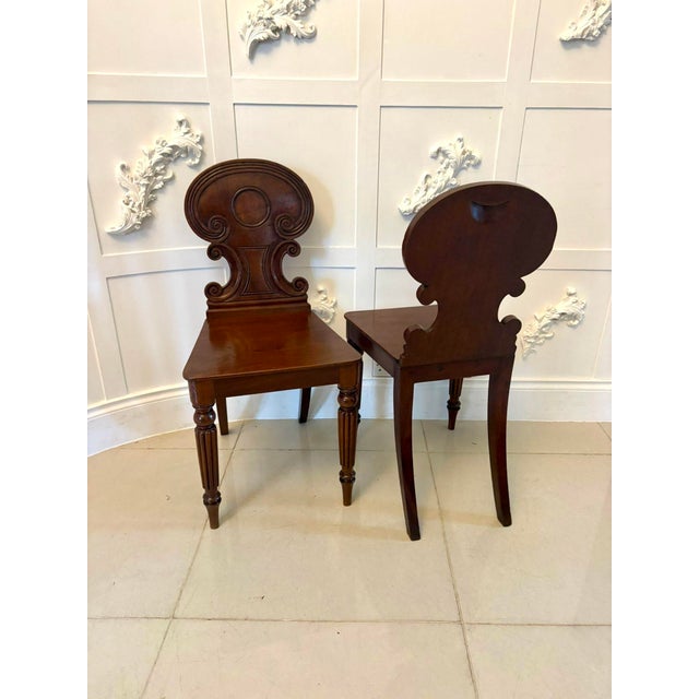Antique Regency Carved Figured Mahogany Hall Chairs, 1830s, Set of 2 For Sale - Image 4 of 15