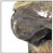 1990s Bear Bust, Sherry Salari Sander For Sale In Minneapolis - Image 6 of 6
