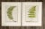 Antique 1885 English Chromolithograph Ferns - a Pair For Sale In Seattle - Image 6 of 6