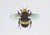 Contemporary Juris Utans, Bumblebee II, 2021, Mixed Media on Paper For Sale - Image 3 of 3