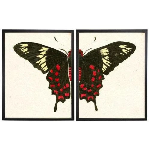 Split Red and White Butterfly in Copper and Black Shadowbox 2 frames make up this set.