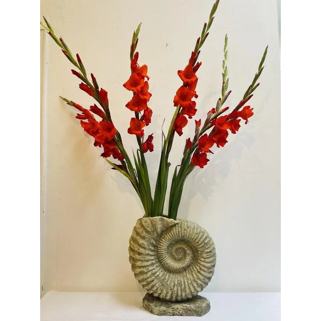 Large Ammonite Shaped Vase, 1980s, in Very Good conditions. Designed 1980 to 1989