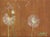 Three Wishes - Small Landscape Floral Artwork on Canvas by Kathleen Keifer For Sale - Image 9 of 9