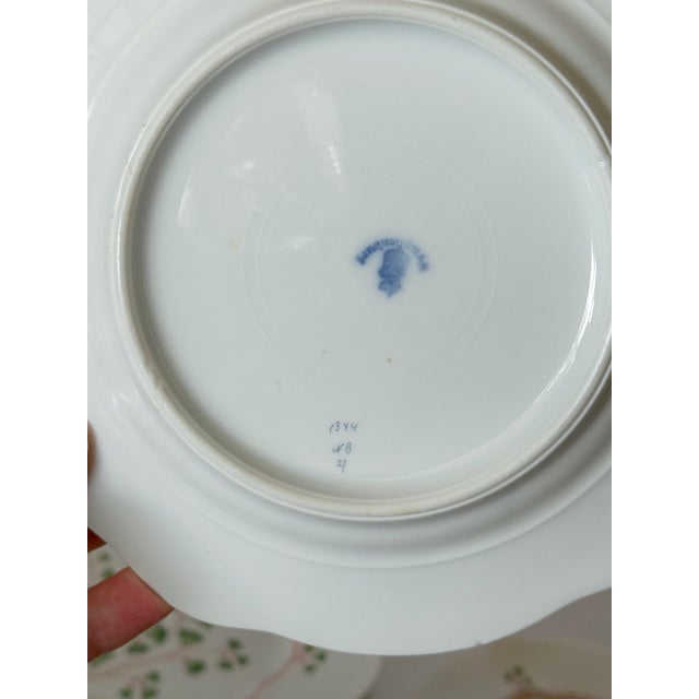 Antique Maidenhair Fern Nymphenburg Porcelain Dinnerware, Hand Painted For Sale - Image 12 of 14