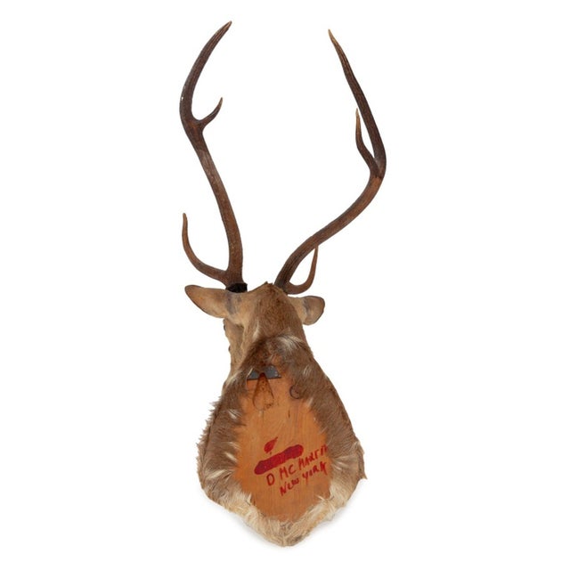 Animal Skin White-Tailed Deer Trophy For Sale - Image 7 of 8