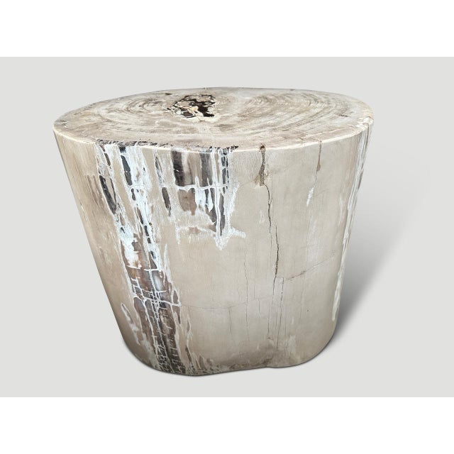 Contemporary Andrianna Shamaris Exquisite High Quality Petrified Wood Side Table or Pedestal For Sale - Image 3 of 18