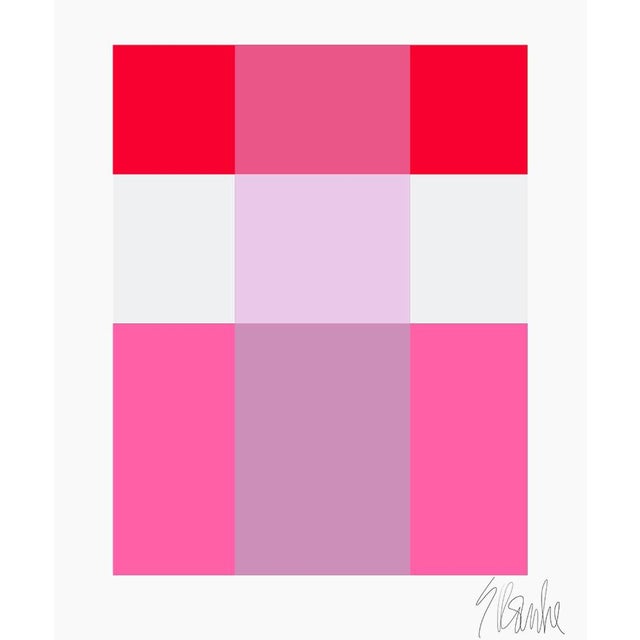 Lavender Through Red Over Pink Fine Art Print 40" X 50" by Liz Roache For Sale