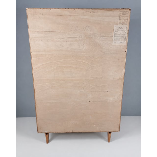 1960s Vintage Wardrobe by Francisek Mezulanik, 1960s For Sale - Image 5 of 12