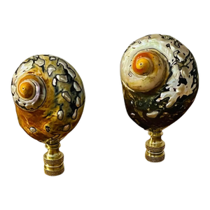 1970s Gorgeous Pair of Brien Turbo Shells Lamp Finials