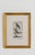 19th Century Set of Framed Avian / Bird Engravings For Sale - Image 4 of 11