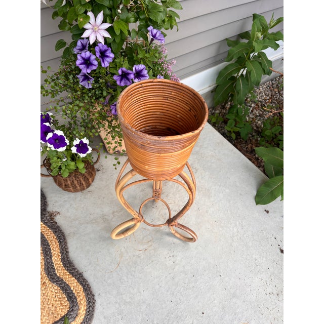 Vintage Mid Century Crespi Style Pencil Reed Rattan Pedestal Bamboo Planter Italian For Sale - Image 4 of 12