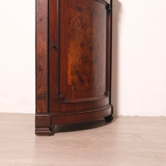 Brown Antique Walnut Corner Cabinet with Raised Base, 1850s For Sale - Image 8 of 16