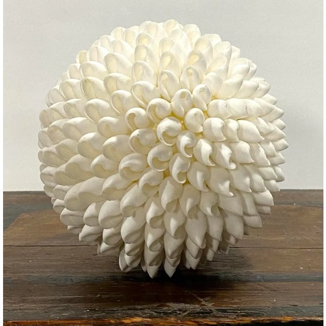 1997 Sea Shell Decorative Ball, White For Sale - Image 4 of 8