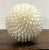 1997 Sea Shell Decorative Ball, White For Sale - Image 4 of 8