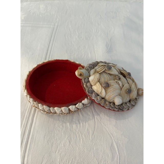 Mid-Century Turtle Seashell Lidded Keepsake Box For Sale - Image 4 of 5