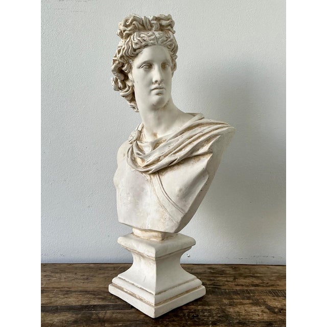 Ceramic Apollo Belvedere Bust Sculpture For Sale In West Palm - Image 6 of 18