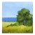 Miniature North Pacific Bluff 4x4 Lynne French Seascape Landscape O/C For Sale