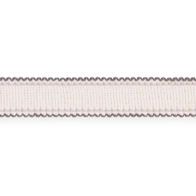 Sample - Schumacher Filippa Tape Indoor & Outdoor in Grey For Sale