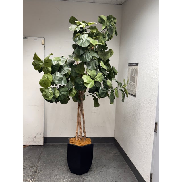 Design Plus Gallery presents a Faux Fiddle Leaf Fig Tree + Tapered Black Planter. This lifelike decorative tree has a tall...
