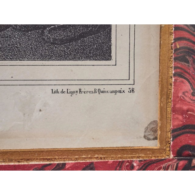 Avenir, Le Pied de Boeuf and La Main Aude, Lithograph For Sale - Image 7 of 12