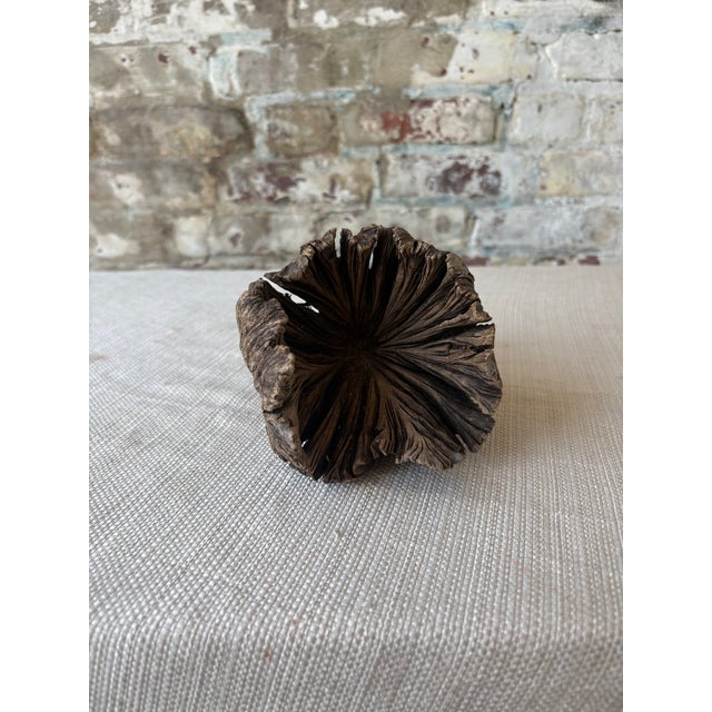 Natural Wood Tree Flower Sculpture / Organic Botanical Decor Object For Sale - Image 4 of 9