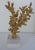 Contemporary Faux Coral Painted Gold on Clear Lucite Base For Sale - Image 3 of 10
