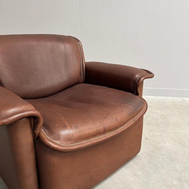 Animal Skin DS12 Lounge Chair from Sede, Switzerland, 1970s For Sale - Image 7 of 15