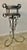 Pair of 19th Century Wrought Iron Wall-Mounted Plant Holders or Torchères For Sale - Image 4 of 11