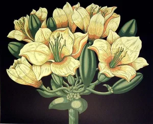 John Martineau "Polyanthos" Signed Numbered Serigraph Large Floral Art Unframed