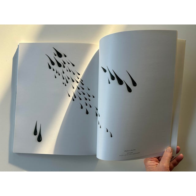 Art Book- Fred Wilson Paintings & Installations 2004-2013 For Sale - Image 10 of 11