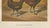 Foerster, The Golden Spangled Hamburg Chicken, Lithograph, 1888 For Sale - Image 3 of 10