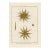 Antique French Histoire Naturelle – Sea Urchins, 1770-90's- Modern Color For Sale