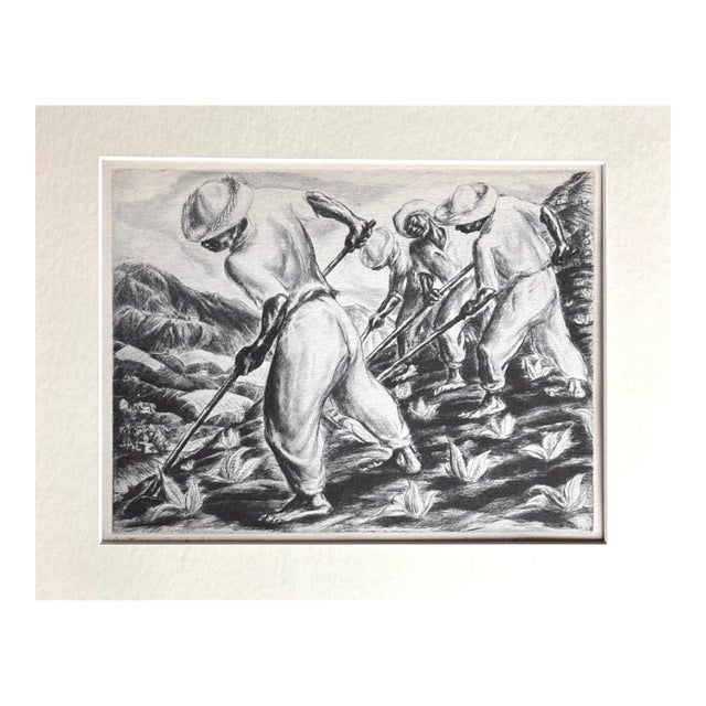 1939 Print in 11x14 Mat Ready 2 Frame: Irwin D. Hoffman: Pastoral, Puerto Rico For Sale
