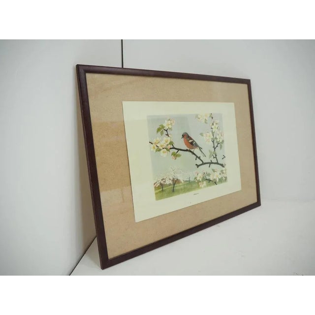 Mid-Century Modern School Poster, Czechoslovakia, 1960s For Sale - Image 3 of 6