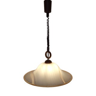 Vintage Height-Adjustable Hanging Lamp in Ash by Aro, 1980s For Sale