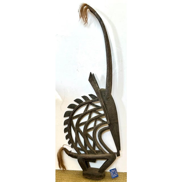 Tribal West African male Bambara headdress in carved wood. The piece depicts a male antelope referred to as "Chi wara,"...