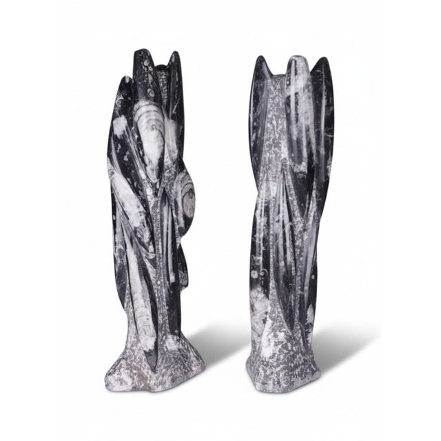 Hand-Carved Orthoceras Fossil Sculptures in Black Limestone, Morocco, Set of 2 For Sale - Image 15 of 15