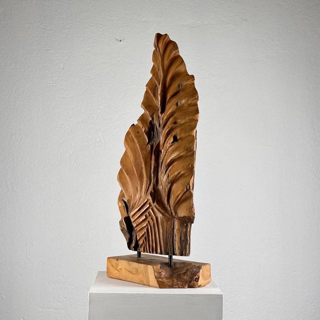 Italian Phytomorphic Abstract Sculpture in Natural Ash, 1960s For Sale - Image 3 of 18