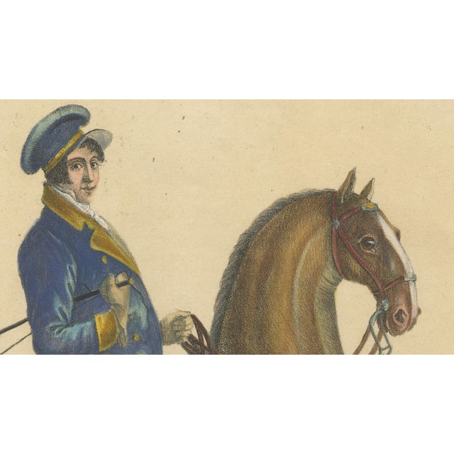 Hollywood Regency Brodtmann, Horse Equus Angliae, 1816, Paper For Sale - Image 3 of 9