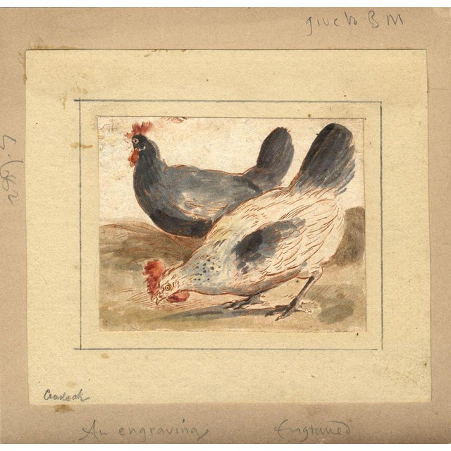 After Marmaduke Cradock, Chickens, 17th Century, Engraving with Watercolour For Sale - Image 4 of 4