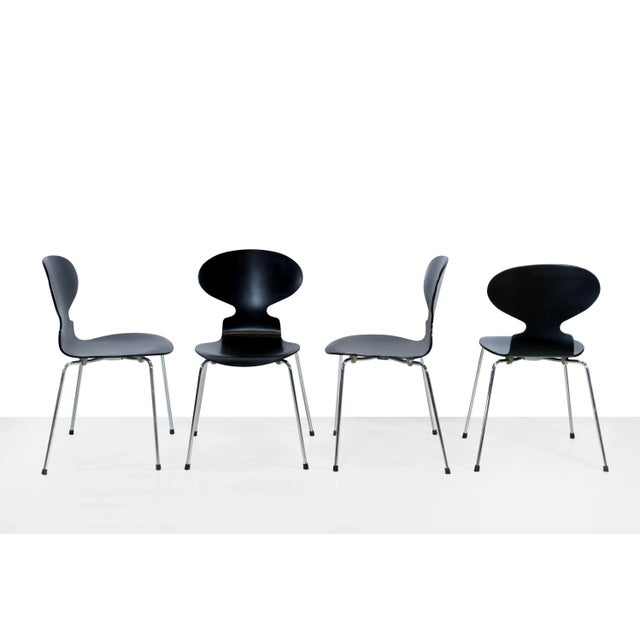 Four beautiful chairs by Arne Jacobsen for Fritz Hansen. The official name of the seats is 'chair 3100', but they are also...