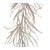 Transform your holiday decor with the shimmering elegance of our Glittered Pine Garland Set. Designed in a sophisticated...