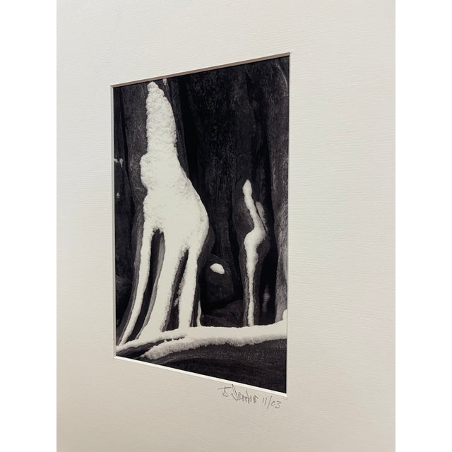 Signed Black and White Photograph "Howling Wolfe" Snow Tree Stump Illusion, North Bend Wa, Dated 2003. For Sale - Image 9 of 10
