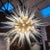 Mid Century Sputnik Murano Glass and Brass Italian Chandelier For Sale - Image 12 of 13