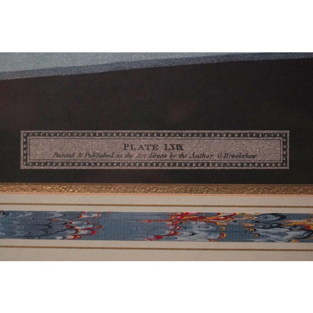 Pair of Fruit Prints by George Brookshaw For Sale - Image 13 of 15