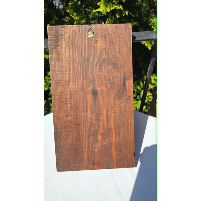 Brown Art Deco Wooden Pharmacy Plaque with Carved Bas-Relief, 1920s For Sale - Image 8 of 9