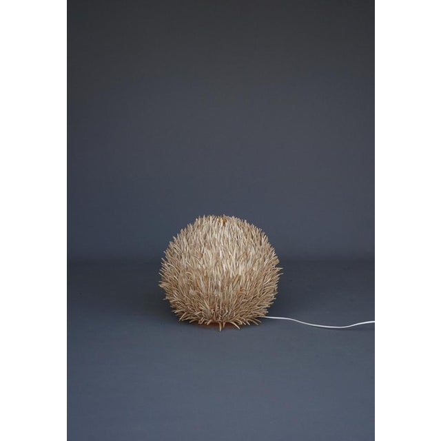 Beige Sea Urchin Wooden Table Lamp, 1990s For Sale - Image 8 of 9