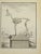 Animal's Skeleton is an etching realized by Pierre Charles Baquoy in 1771. It belongs to the suite "Histoire naturelle,...