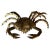 6 1/4"H x 22 1/2"W x 12 1/2"D This striking crab sculpture is attributed to Belgian artist Daniël d'Haeseleer. Crafted...